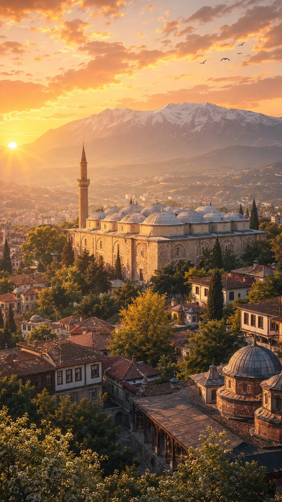 Bursa