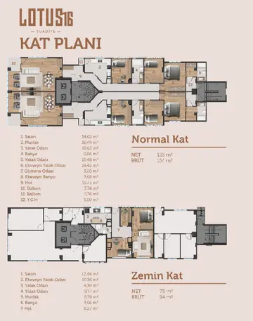 3+1 kat planı