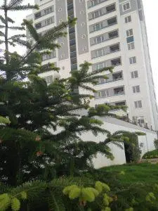 Menta Alyans Sultanbeyli - 4
