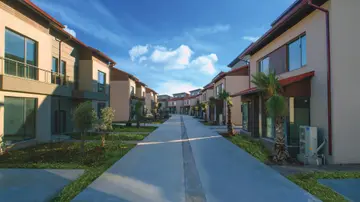 Palm City Modern - 4