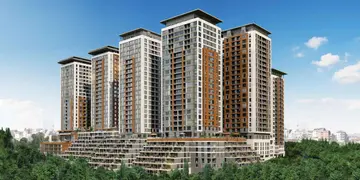 Essenora - 3
