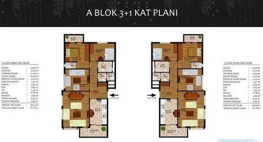 3+1 kat planı