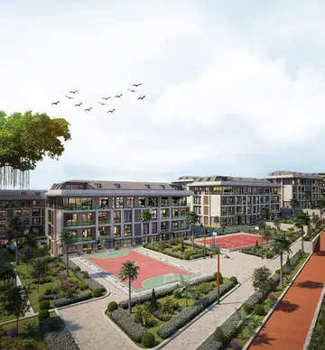 Palm Marin - 9