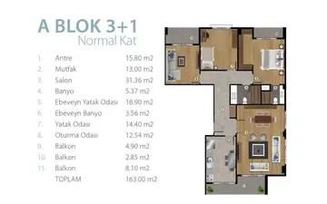3+1 kat planı