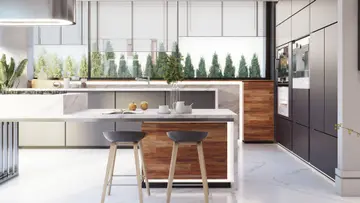 Novus Yaşam - 7