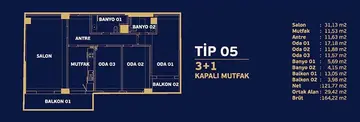 3+1 kat planı