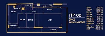 3+1 kat planı