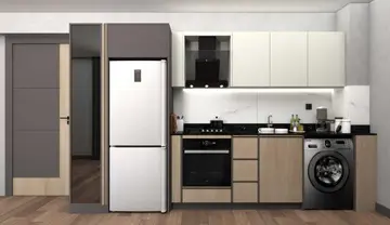 Ada Concept - 3